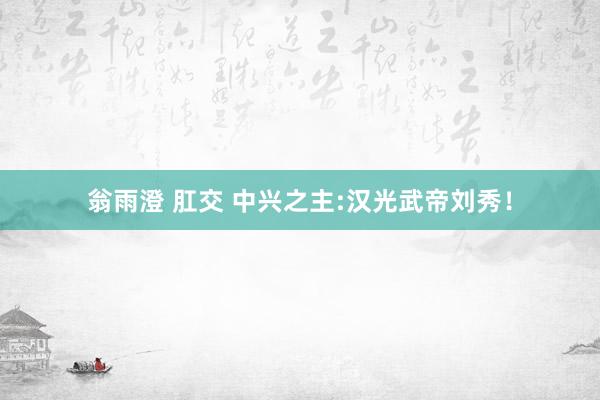 翁雨澄 肛交 中兴之主:汉光武帝刘秀！