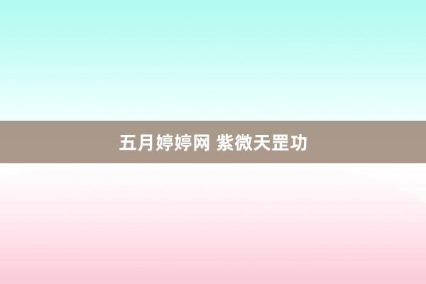 五月婷婷网 紫微天罡功