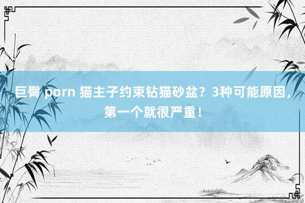 巨臀 porn 猫主子约束钻猫砂盆？3种可能原因，第一个就很严重！