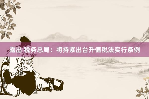露出 税务总局：将持紧出台升值税法实行条例