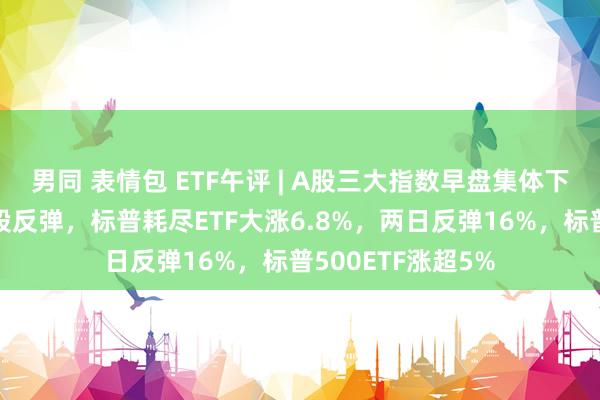 男同 表情包 ETF午评 | A股三大指数早盘集体下降，隔夜好意思股反弹，标普耗尽ETF大涨6.8%，两日反弹16%，标普500ETF涨超5%