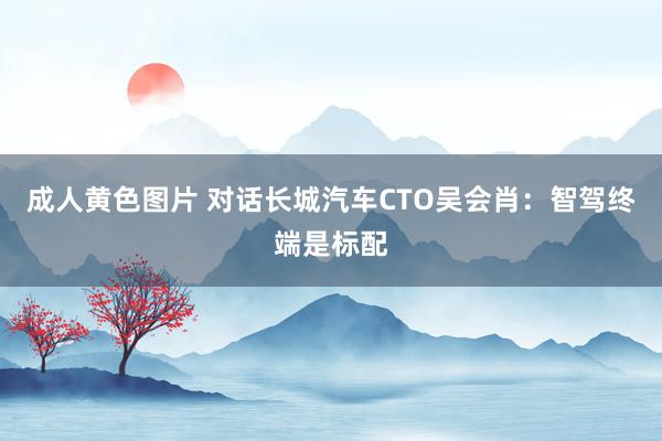 成人黄色图片 对话长城汽车CTO吴会肖：智驾终端是标配