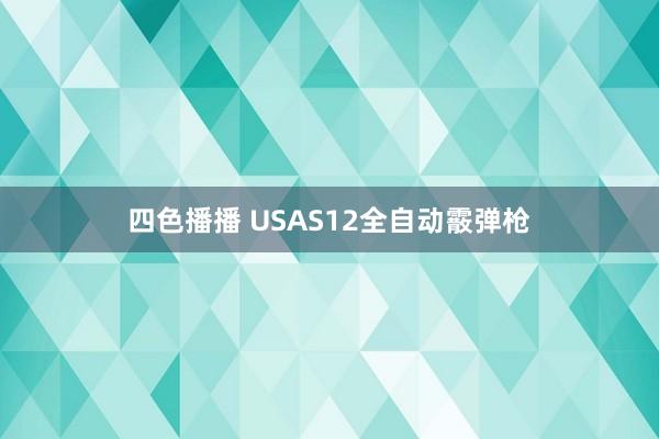 四色播播 USAS12全自动霰弹枪
