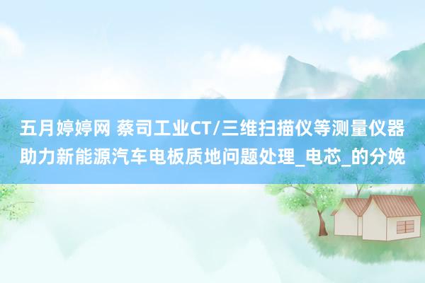 五月婷婷网 蔡司工业CT/三维扫描仪等测量仪器助力新能源汽车电板质地问题处理_电芯_的分娩